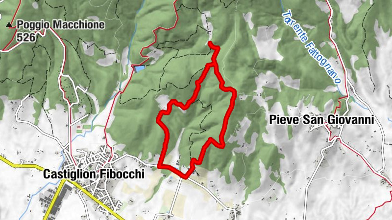 Lignana - Fattoria La Vialla