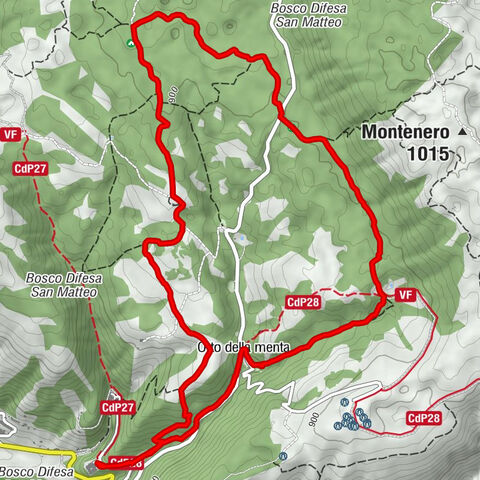 San Marco in Lamis - Orto della menta