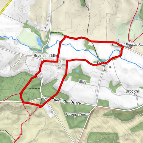Affpuddle and Turnerspuddle - Briantspuddle - Turners Puddle - Throop