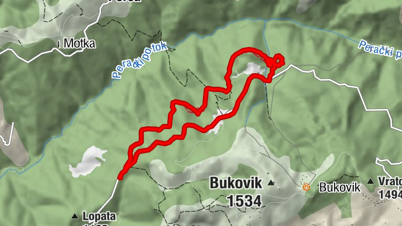 Vića - Skakavac