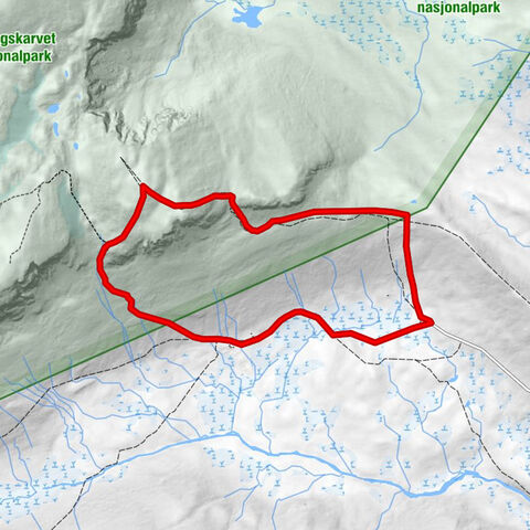 Hol - Prestholtskardet