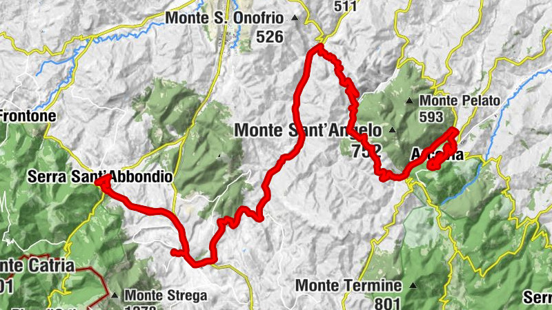 Pinocchio - Collegiata di San Medardo - Chiesa San Francesco - Serra Sant'Abbondio