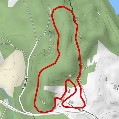 Joroinen