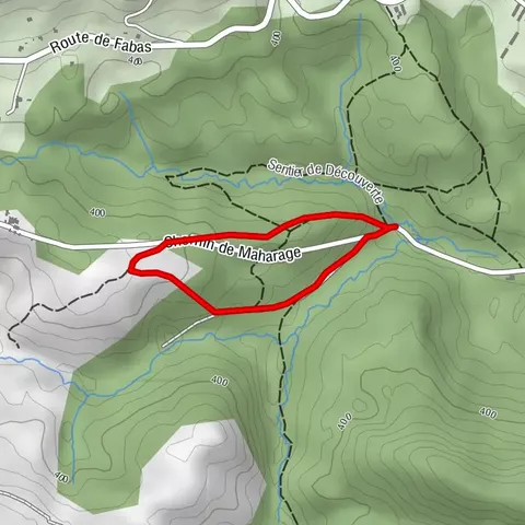 The Royal Forest - Forest Path