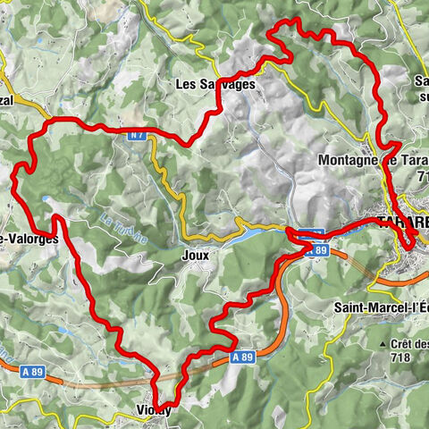 Tarare - Col des Sauvages - Chapelle Saint-Roch - Église Saint-Georges