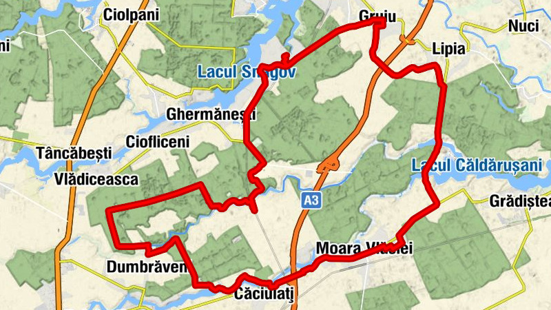 Gruiu - Restaurant Casa Leu - Snagov