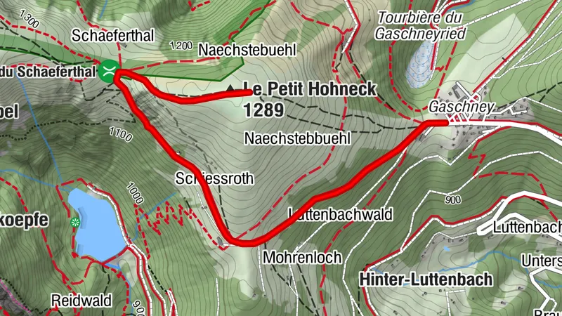 Gaschney SR 1 - Petit Hohneck