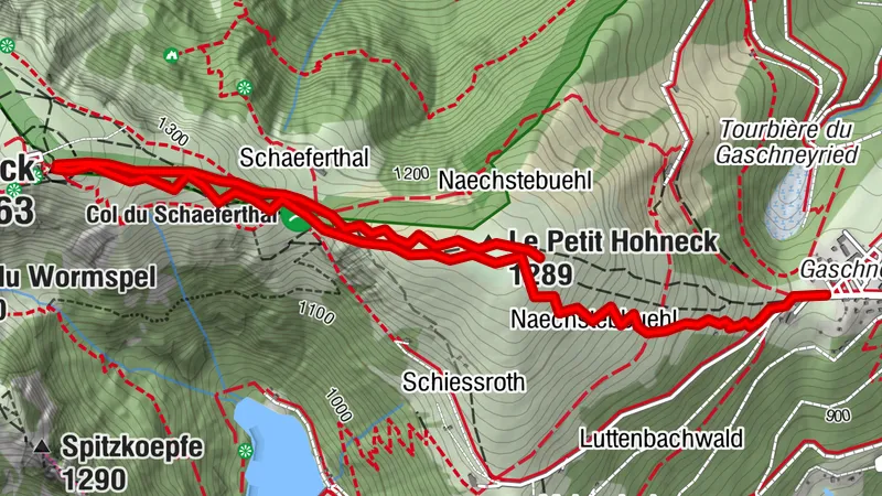 Gaschney SR2 - Gaschney Hohneck