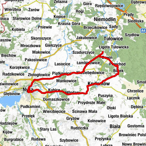 Goszczowice - Kościół parafialny pw. św. Franciszka z Asyżu - Kościół parafialny pw. Świętych Apostołów Piotra i Pawła - Kościół Zwiastowania NMP