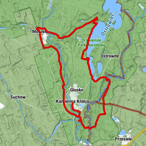 Kamienna Knieja - Wiata do obserwacji ptaków - Moczele - Żeleźnica