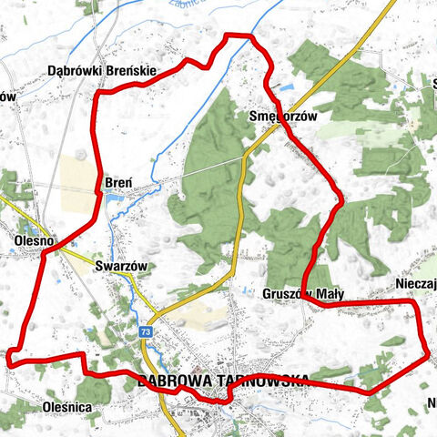 Kuchnia Chińska i Wietnamska - Kościół pw. Wszystkich Świętych - Kościół Przemienienia Pańskiego w Dąbrówkach Breńskich - Dąbrowa Tarnowska