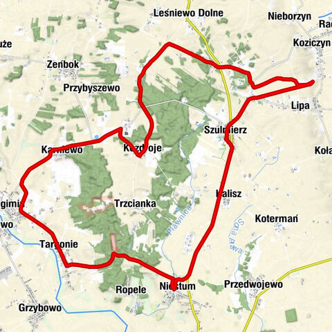 powiat ciechanowski - Polanka - Kozdroje - Szulmierz