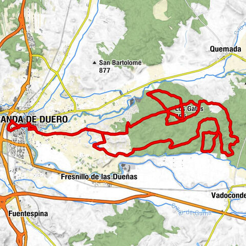 Aranda de Duero - El Mirón - Calabaza - Los Gatos