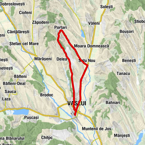 Vaslui - Bon Apetit - Crismona