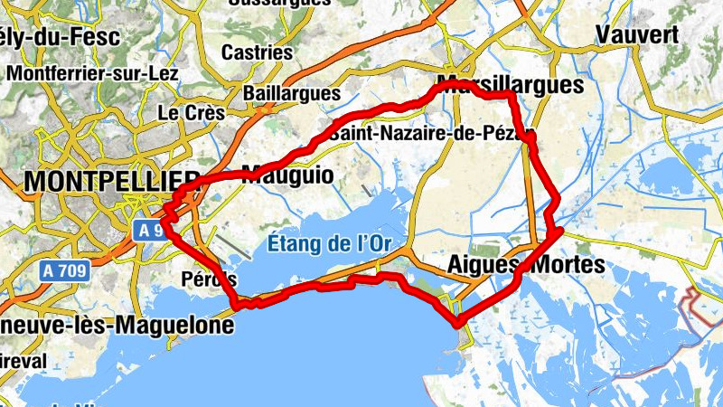 Montpellier-Sud-de-France - Temple - Temple - Église Protestante Unie - Église Saint-Martin