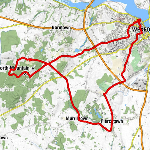 Wexford O'Hanrahan - Carrickshinna Rock - St Martin's Church - Rathaspeck Church