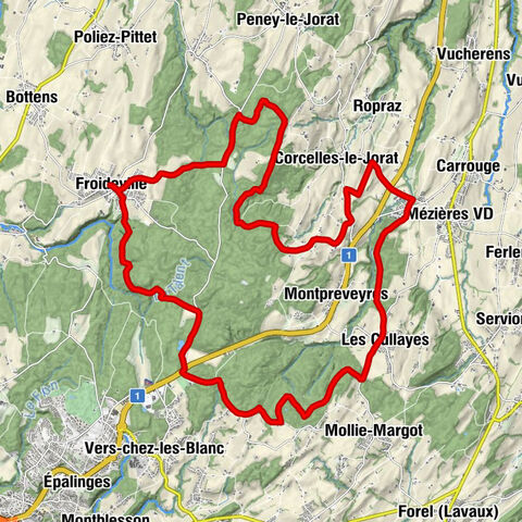 Centre oecuménique de Froideville - Froideville - Les Cullayes - Restaurant du Raisin