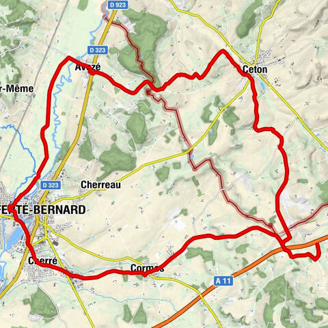 Triard - Église Saint-Pierre - Église Saint-Pierre-et-Saint-Paul - Église paroissiale de Saint Denis