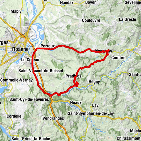 Chez Desvernay - La Bruyère - Domaine Garin - Roanne