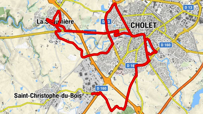 O'TO - Basilic & Co Cholet (Plessis) - Cholet - Couleur Sarrasin