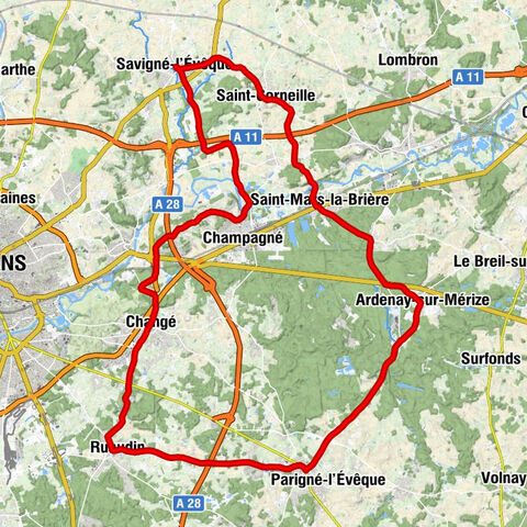 Savigné-l'Évêque - Église Saint-Germain - Église Notre-Dame-de-l'Assomption - Église Saint-Pierre