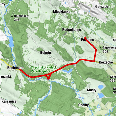 Kościół pw. Matki Bożej Anielskiej w Polichnie - Polichno - Zarośle - Jedlnica