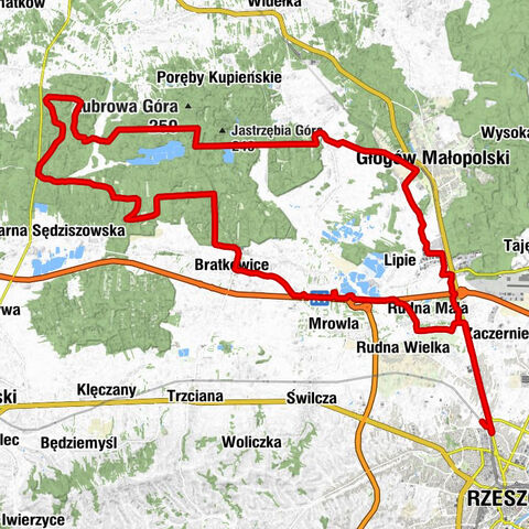 Rzeszów - Kościół pw. św. Jana Chrzciciela - Czubata Górka - Kościół pw. Niepokalanego Serca NMP