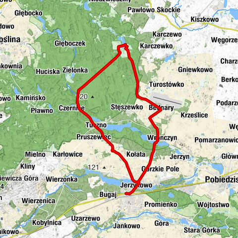 Jerzykowo - Wronczyn - Kaplica pomocnicza - Kościół pw. Najświętszej Maryi Panny Wniebowziętej