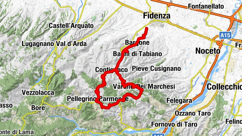 Fidenza - Salsomaggiore Terme - Pie' di Via - Trattoria da ANNA