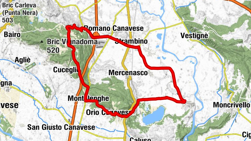 Vische - Chiesa di Santa Marta - Chiesa di San Michele - Cappella di Levio