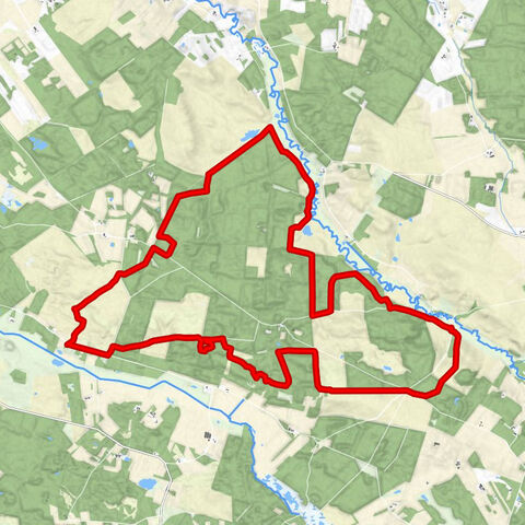 Filsø