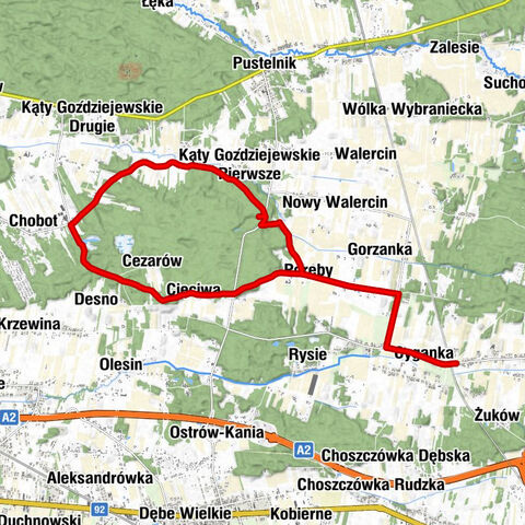 Kaplica pomocnicza - Kościół pw. Miłosierdzia Bożego - Cyganka - Tomaszów