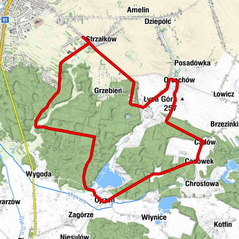 Kolonia Strzałkowska - Strzałków - kościół pw. Nawiedzenia Najświętszej Maryi Panny - Radomsko