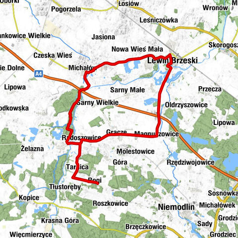 Rogi - Kościół parafialny pw. Narodzenia Najświętszej Maryi Panny - Kościół Ewangelicki Apostołów Piotra i Pawła - Kościół parafialny pw. Trójcy Świętej