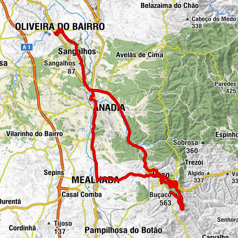 Oliveira do Bairro - Igreja de São Miguel - Capela de São Sebastião - Sangalhos