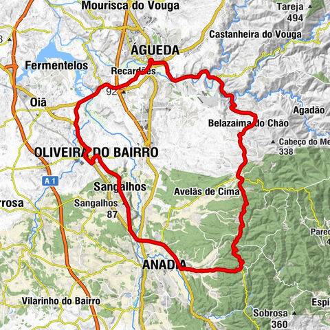 Oliveira do Bairro - Espeto no Boi - Sangalhos