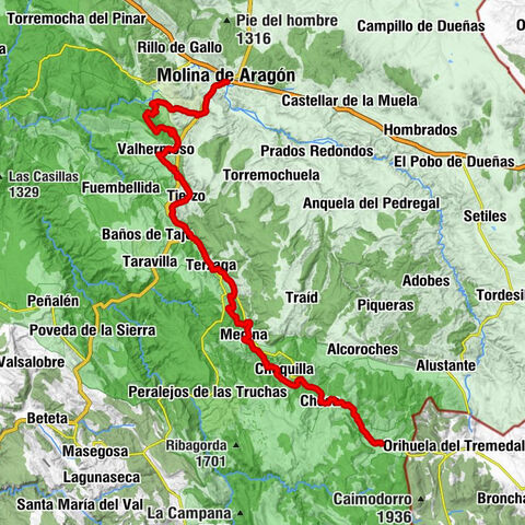 Molina de Aragón - Iglesia de la Asunción - Iglesia de la Nuestra Señora de la Natividad - Orea