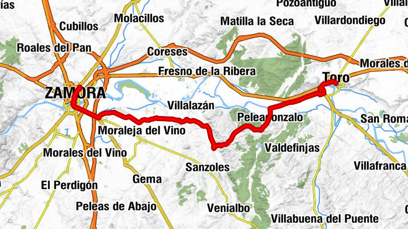 Toro - Iglesia de San Salvador de los Caballeros - Ermita de Nuestra Señora del Canto - Zamora