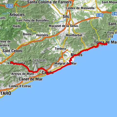 Vallgorguina - Església de Sant Andreu - La mare de deu dels socors - Tossa de Mar