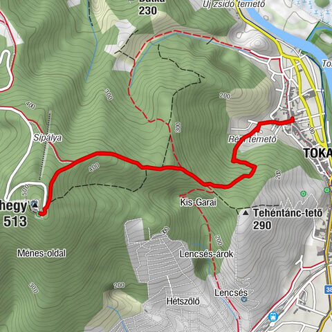 Tokaj - Jézus Szíve templom - Tokaji-hegy - Kopasz-hegy