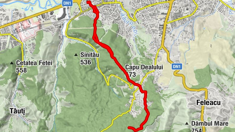 Cluj-Napoca - Diós - Șaua Páter - Capu Dealului