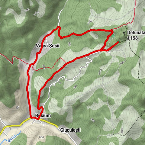 Biserica Ortodoxă Română Bucium - Bucium - izvor - Valea Șesii