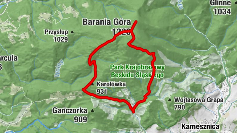 W Pośrednim Groniu - Wierch Wisełka - Barania Góra - Wierch Równiański