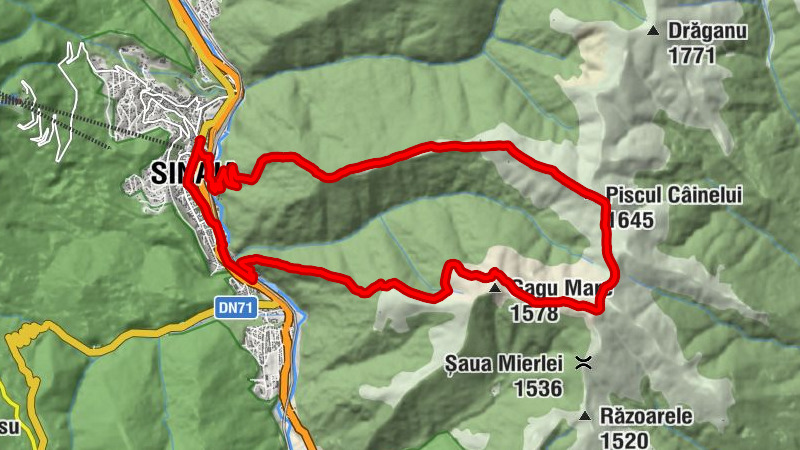Sinaia - Piscul Câinelui - Mierlele
