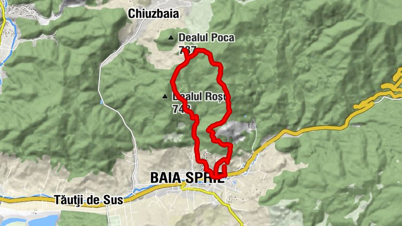 Baia Sprie - Borcut Baia Sprie