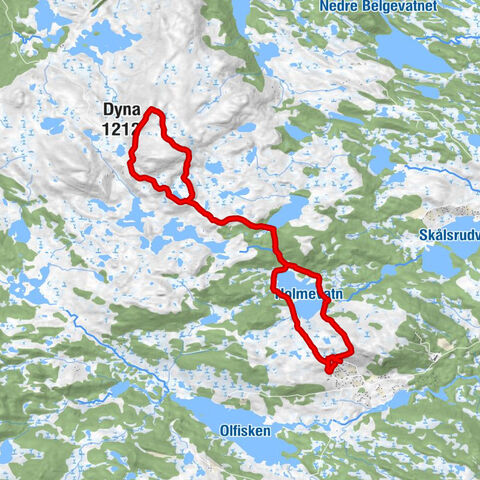 Ål - Dyna (1212) - Dyna - Storebrenna