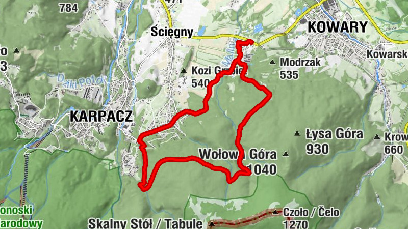 Krzaczyna - Jedlinki - Karpacz