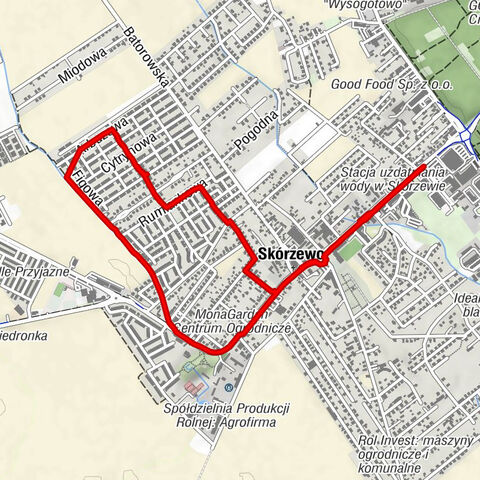 Skórzewo - Kościół pw. św. Marcina i Wincentego