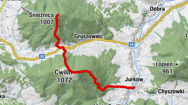 Śliwówka - Ćwilin - Droga Krzyżowa stacja XI - Śnieżnica