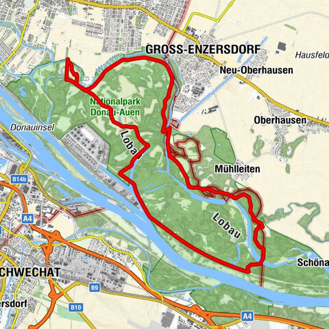 Eine große Runde durch die Lobau